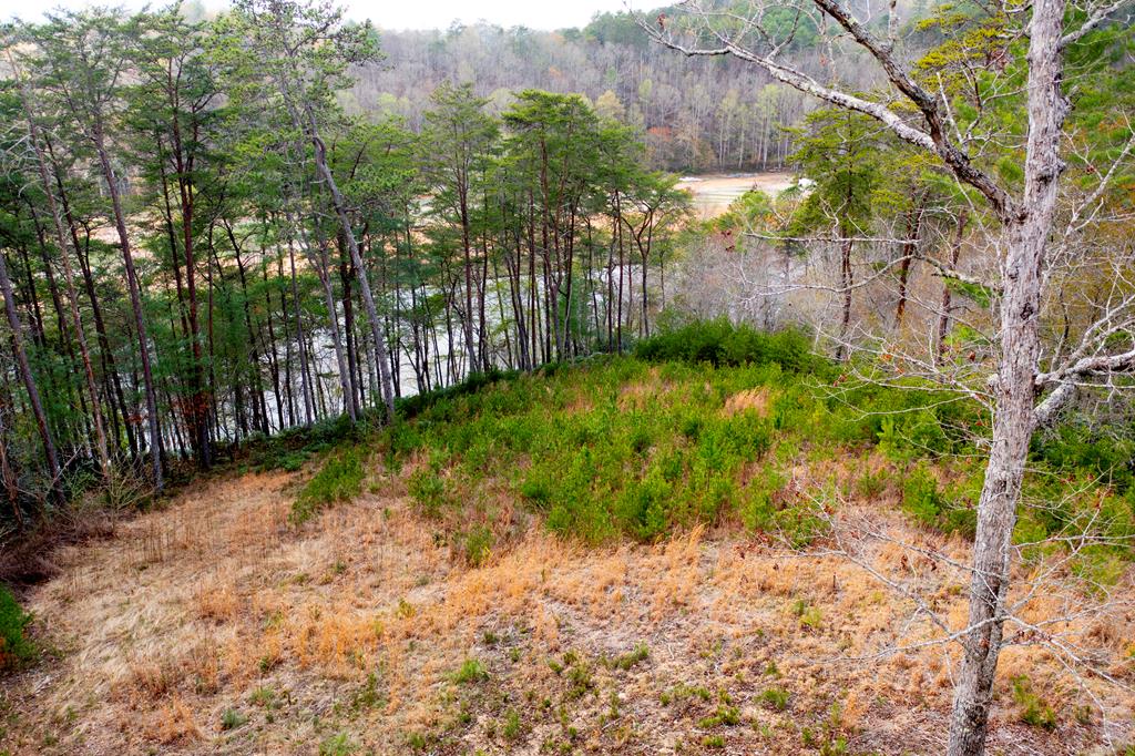 000 Mountain Watch Ln #120, MURPHY, North Carolina image 1
