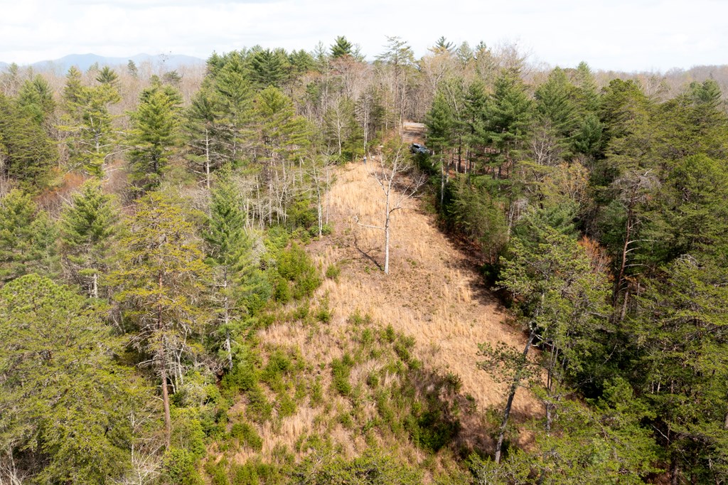 000 Mountain Watch Ln #120, MURPHY, North Carolina image 5