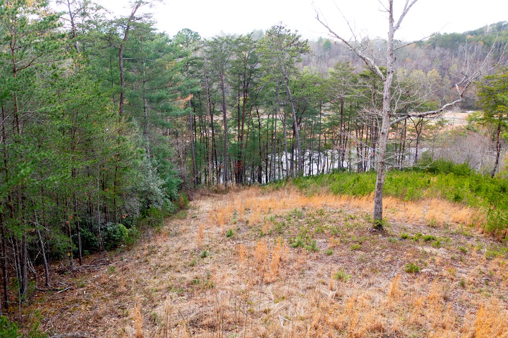 000 Mountain Watch Ln #120, MURPHY, North Carolina image 8