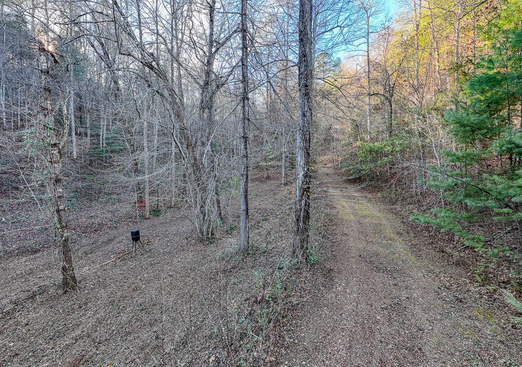 Milt Williams Road, ROBBINSVILLE, North Carolina image 32