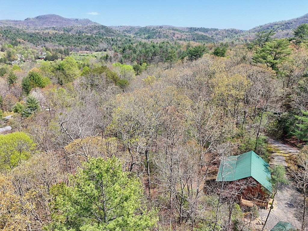 65 Laurelwood Circle, MURPHY, North Carolina image 3