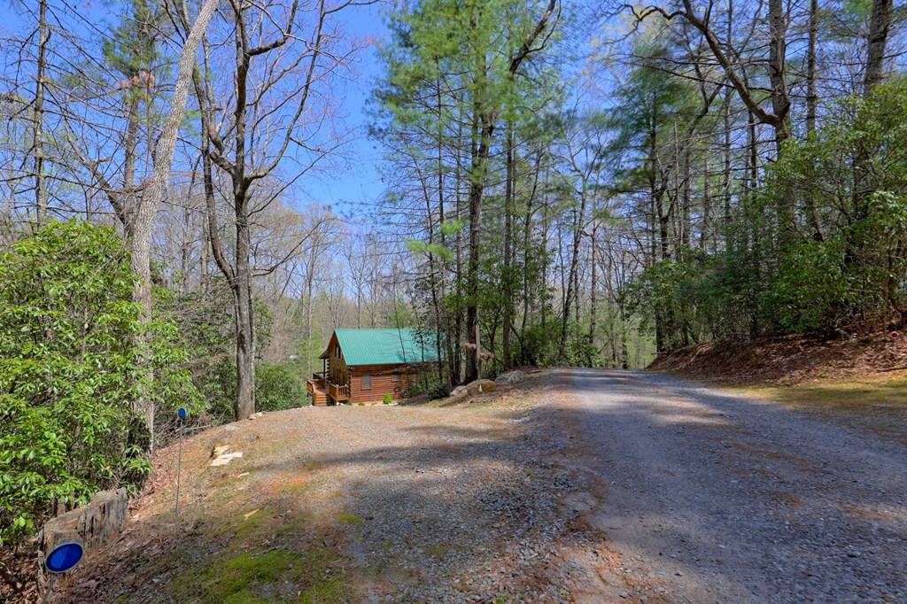 65 Laurelwood Circle, MURPHY, North Carolina image 2