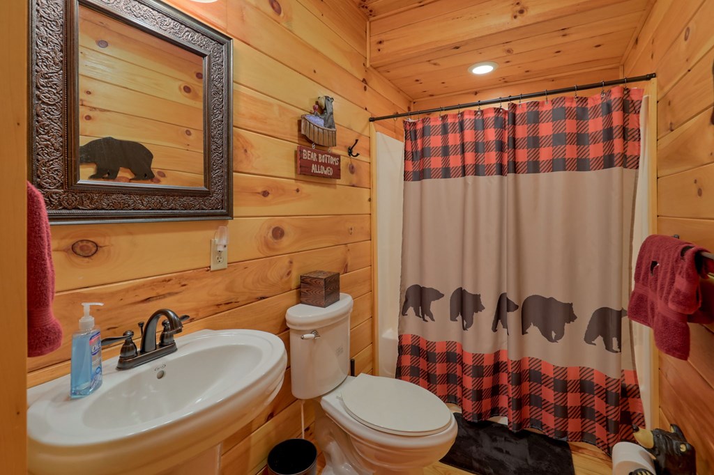 65 Laurelwood Circle, MURPHY, North Carolina image 17