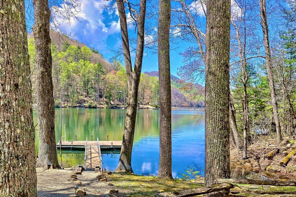 177 Lake Dr, TOPTON, North Carolina image 1