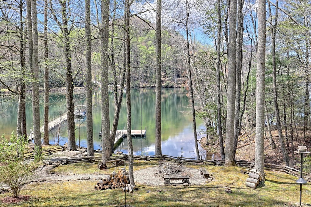 177 Lake Dr, TOPTON, North Carolina image 14