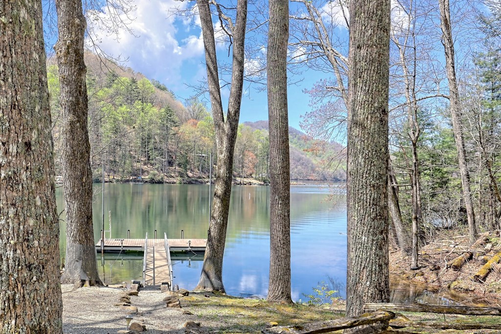 177 Lake Dr, TOPTON, North Carolina image 10