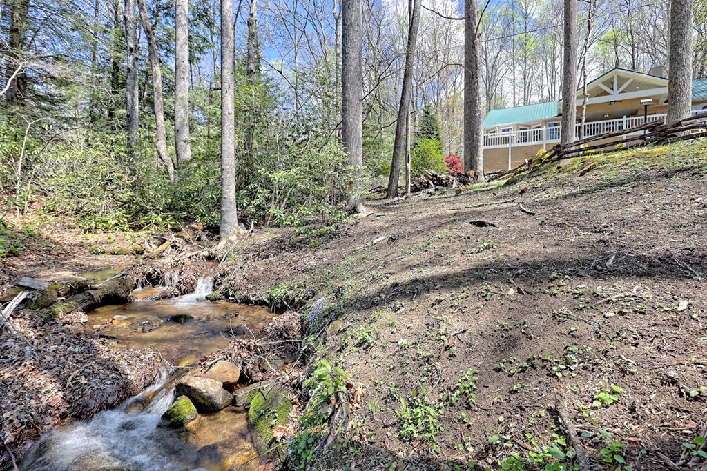 177 Lake Dr, TOPTON, North Carolina image 15