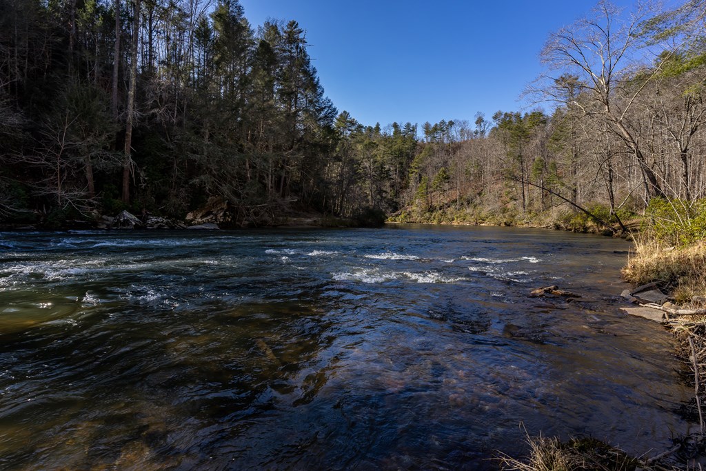 121 High River Crossing #121, ELLIJAY, Georgia image 10