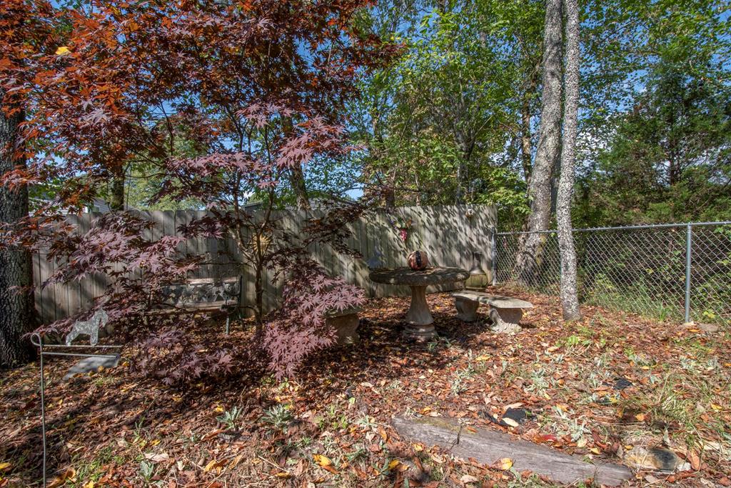 64 Ledford Ln, HAYESVILLE, North Carolina image 29