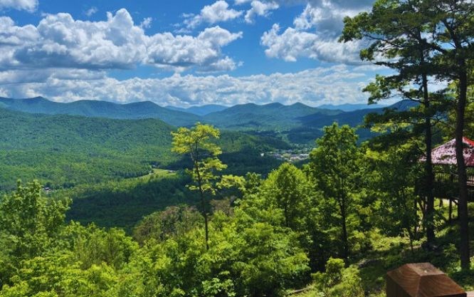 Lot 90 Rocky Knob Estates, YOUNG HARRIS, Georgia image 18