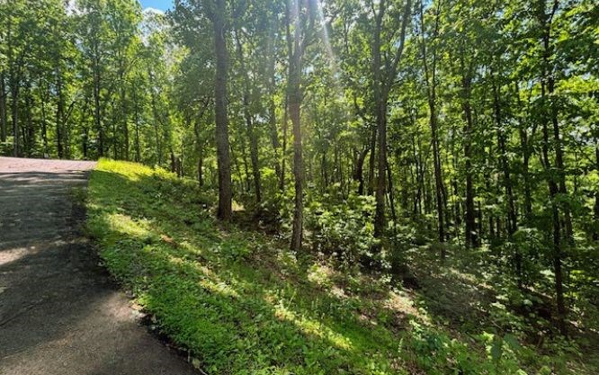 Lot 90 Rocky Knob Estates, YOUNG HARRIS, Georgia image 4