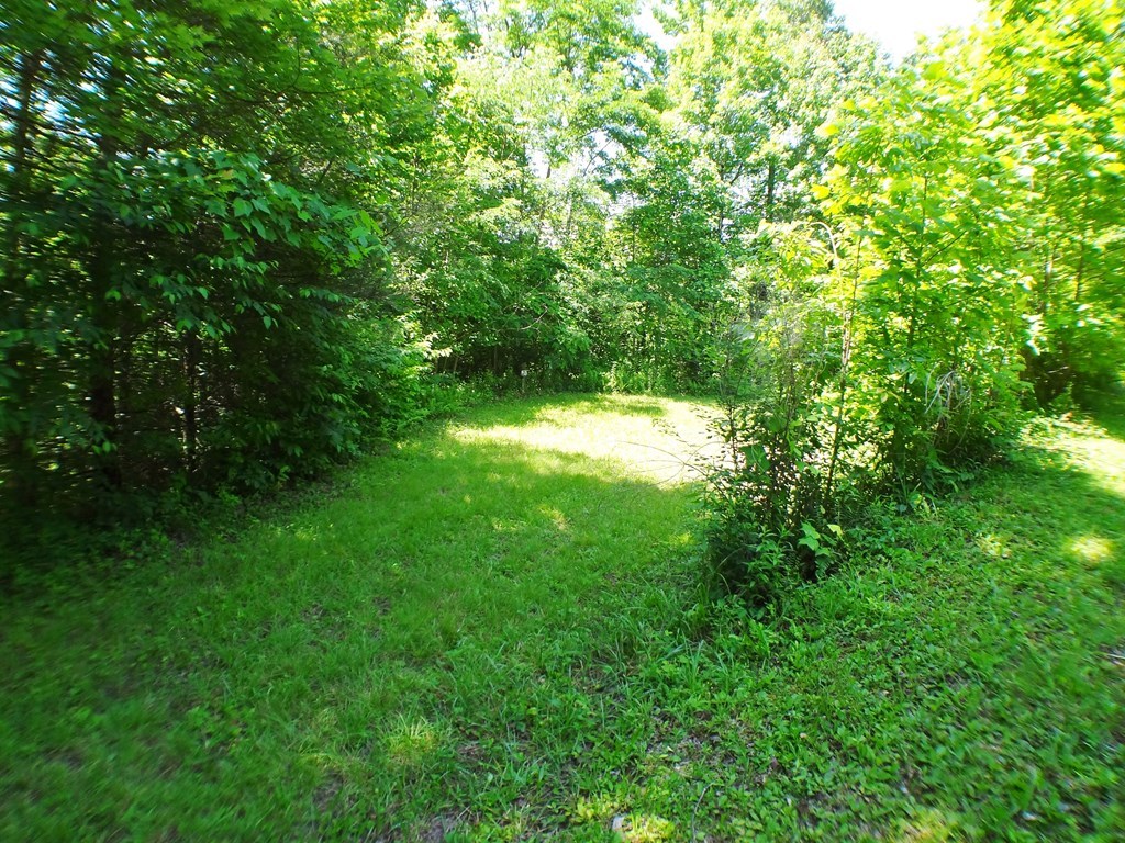 Lot 6&7 Fawn Trail Rd #6  7, TOPTON, North Carolina image 11