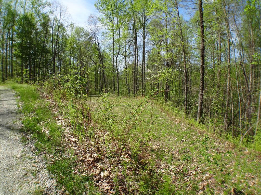 Lot 6&7 Fawn Trail Rd #6  7, TOPTON, North Carolina image 7