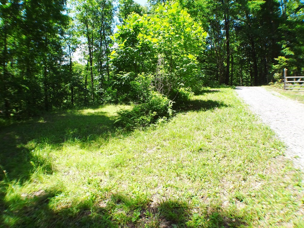 Lot 6&7 Fawn Trail Rd #6  7, TOPTON, North Carolina image 10