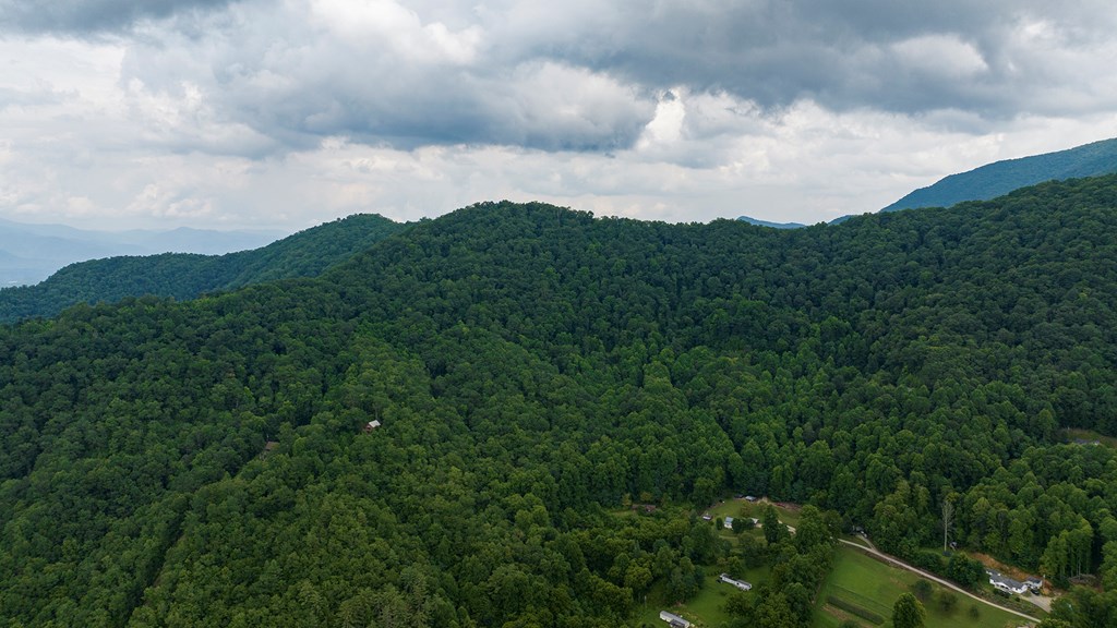 00 Canopy Lane, ROBBINSVILLE, North Carolina image 2