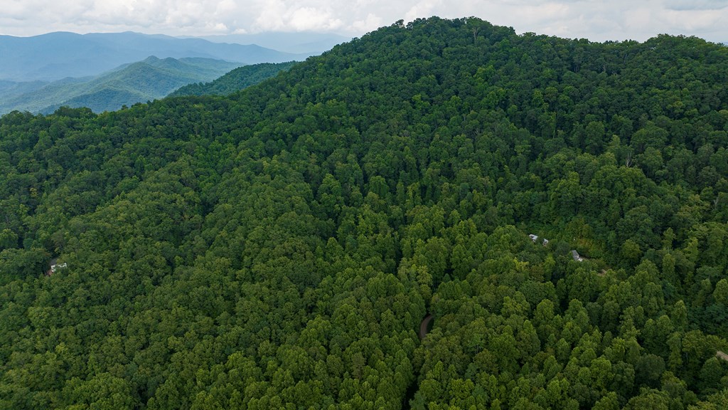 00 Canopy Lane, ROBBINSVILLE, North Carolina image 3