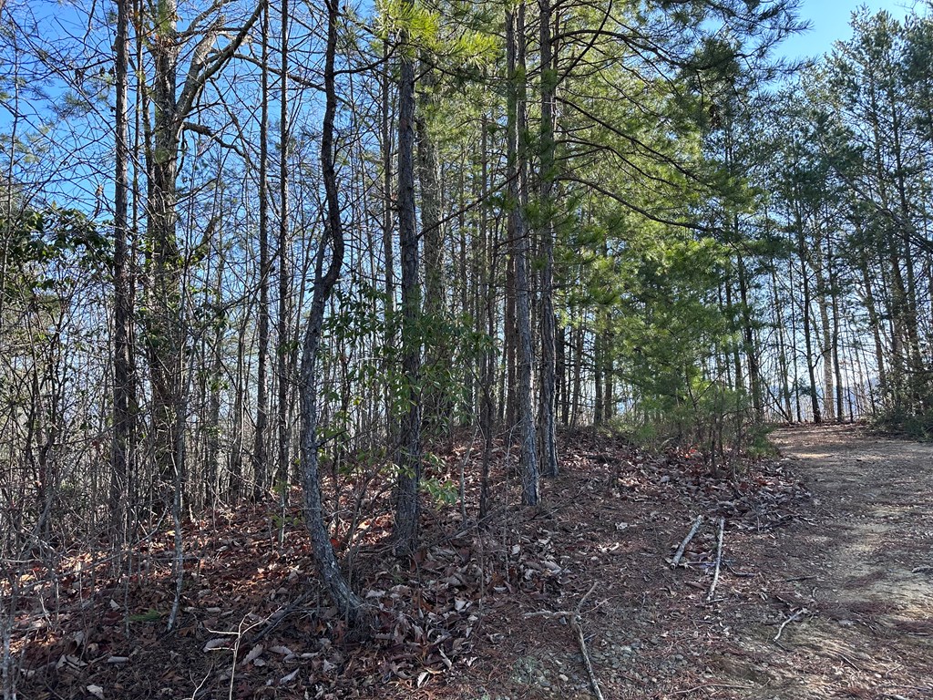 Lot 1 Sunset Lane, MURPHY, North Carolina image 9