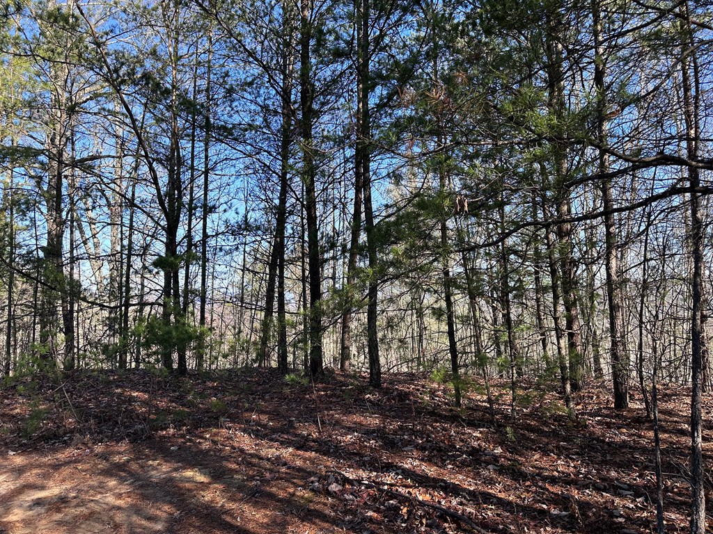 Lot 1 Sunset Lane, MURPHY, North Carolina image 7