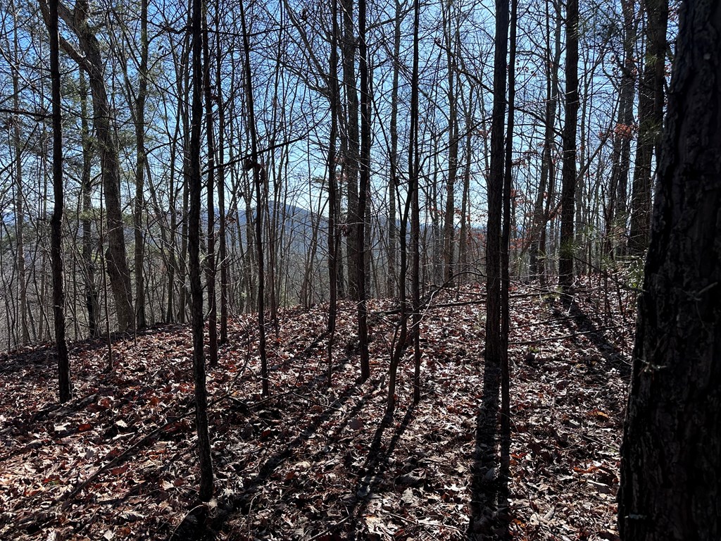 Lot 1 Sunset Lane, MURPHY, North Carolina image 4