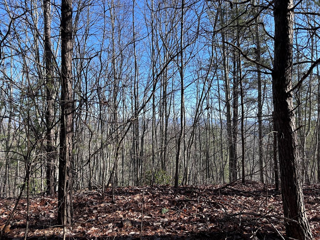 Lot 1 Sunset Lane, MURPHY, North Carolina image 5