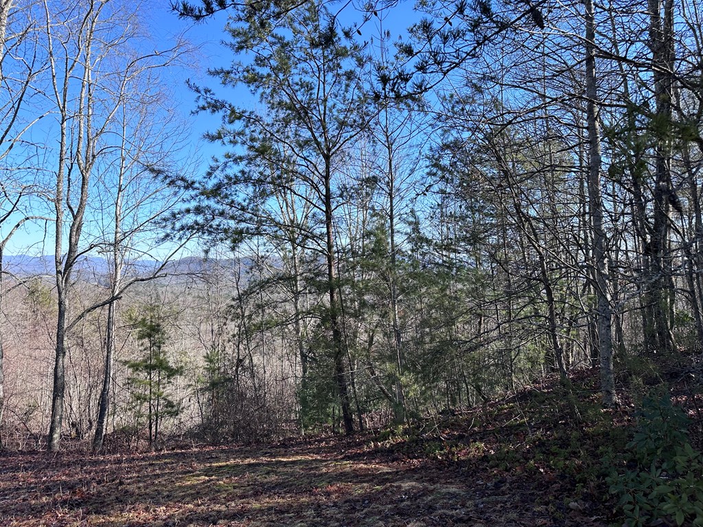 Lot 1 Sunset Lane, MURPHY, North Carolina image 2