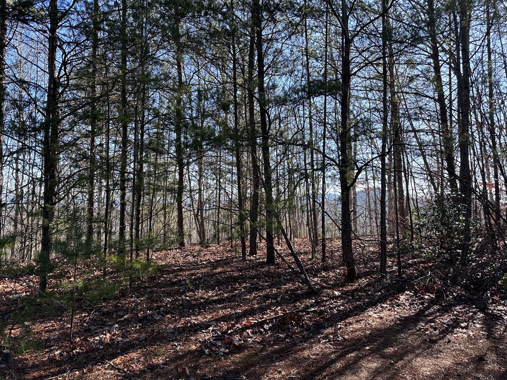 Lot 1 Sunset Lane, MURPHY, North Carolina image 3