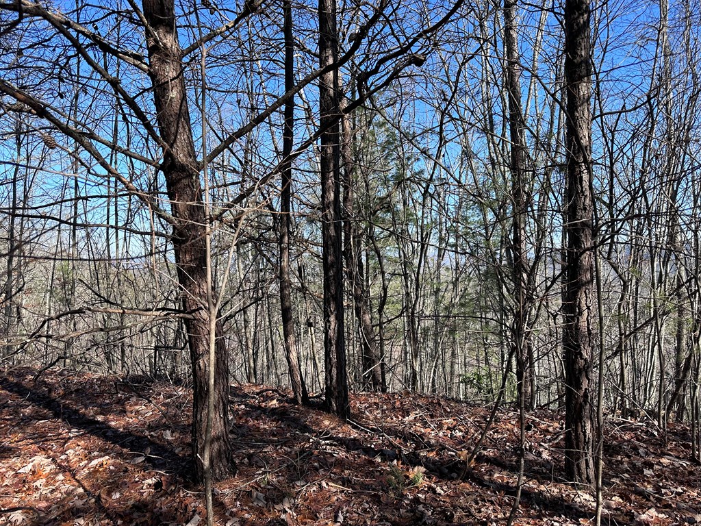 Lot 1 Sunset Lane, MURPHY, North Carolina image 6