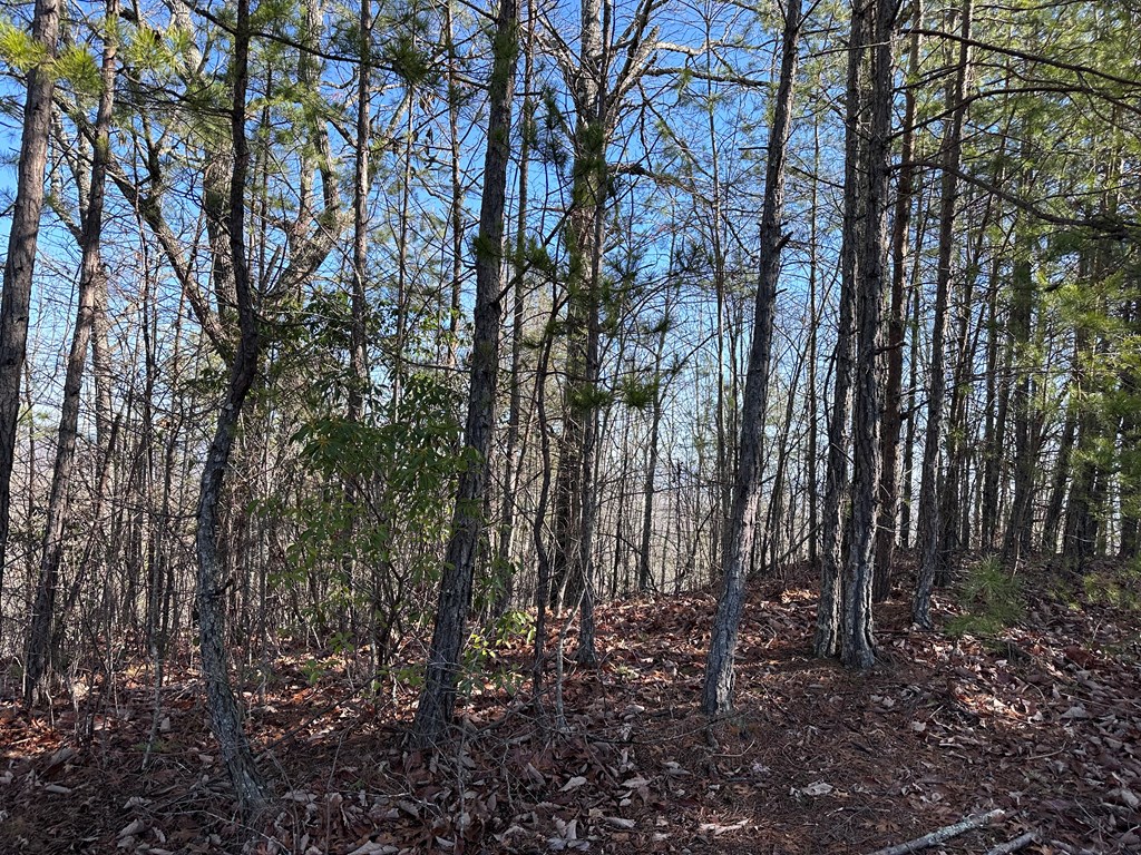 Lot 1 Sunset Lane, MURPHY, North Carolina image 8