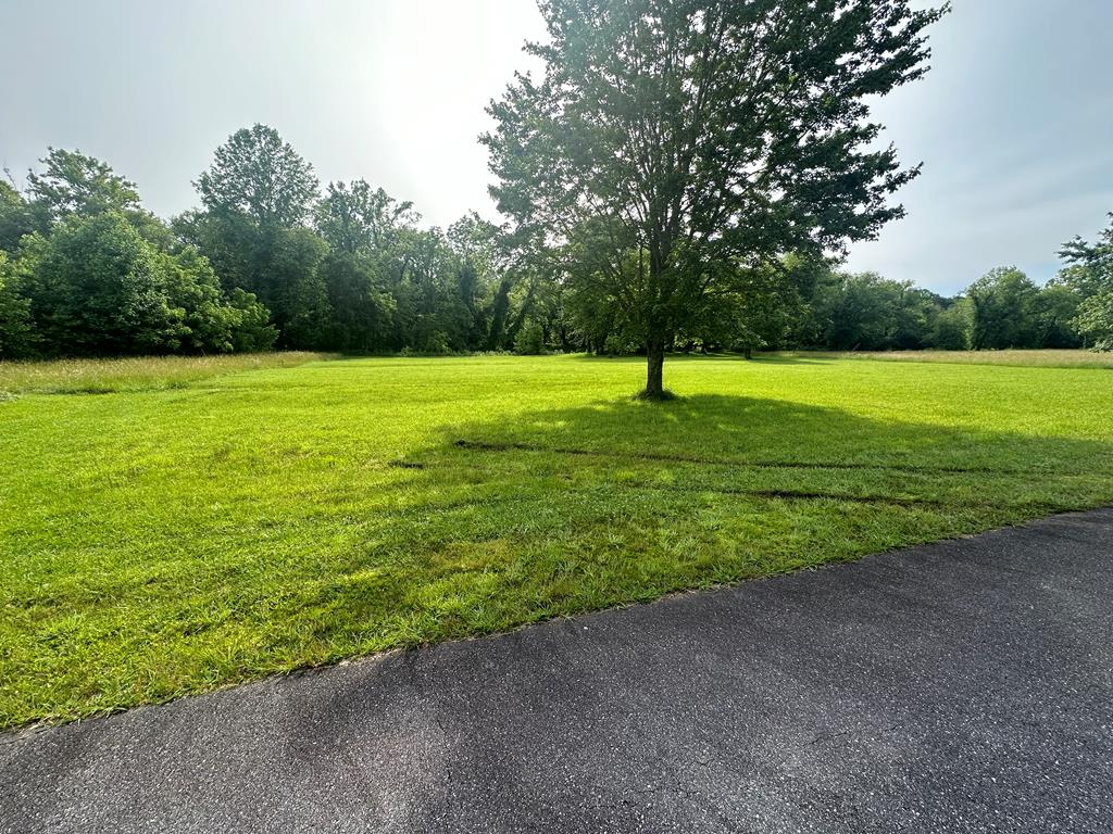 Lot 53 Prosperity Dr #53, WARNE, North Carolina image 13