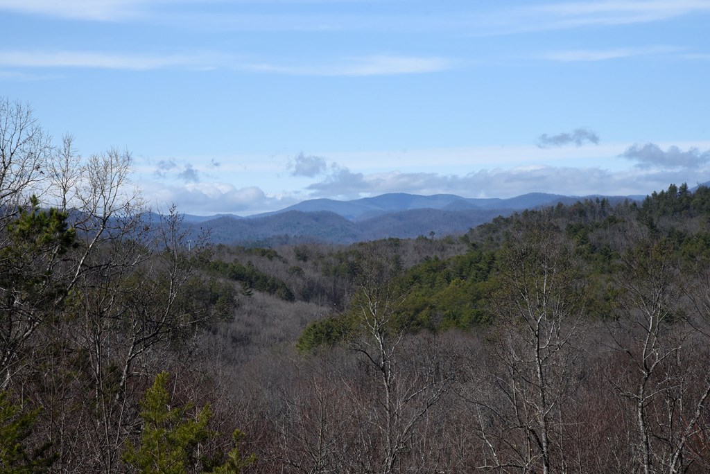 122 Weber Way Circle, BRASSTOWN, North Carolina image 8