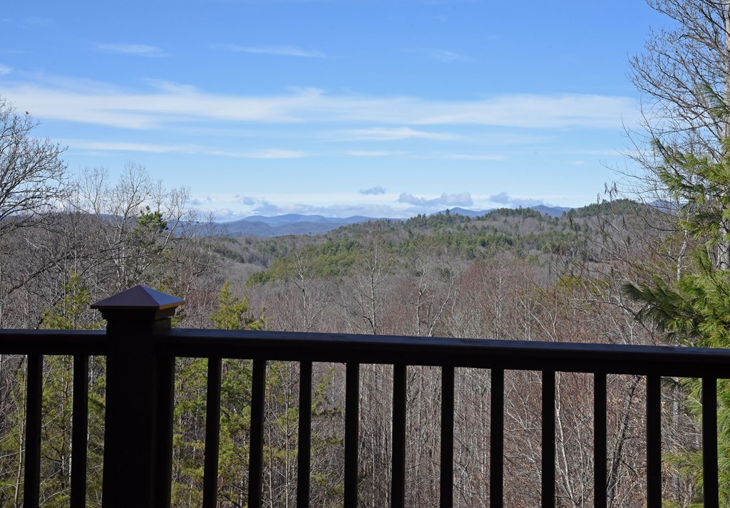 122 Weber Way Circle, BRASSTOWN, North Carolina image 7