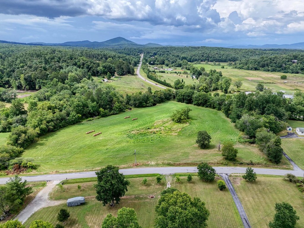 142 Jones Creek Road, BLAIRSVILLE, Georgia image 13