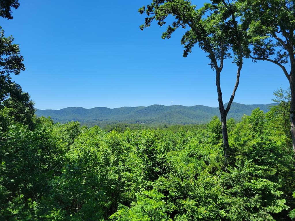 Lot 149 The Mountain #149, BLAIRSVILLE, Georgia image 5