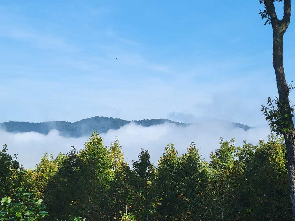 Lot 149 The Mountain #149, BLAIRSVILLE, Georgia image 8