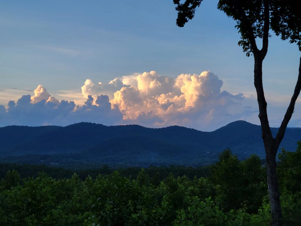 Lot 149 The Mountain #149, BLAIRSVILLE, Georgia image 10