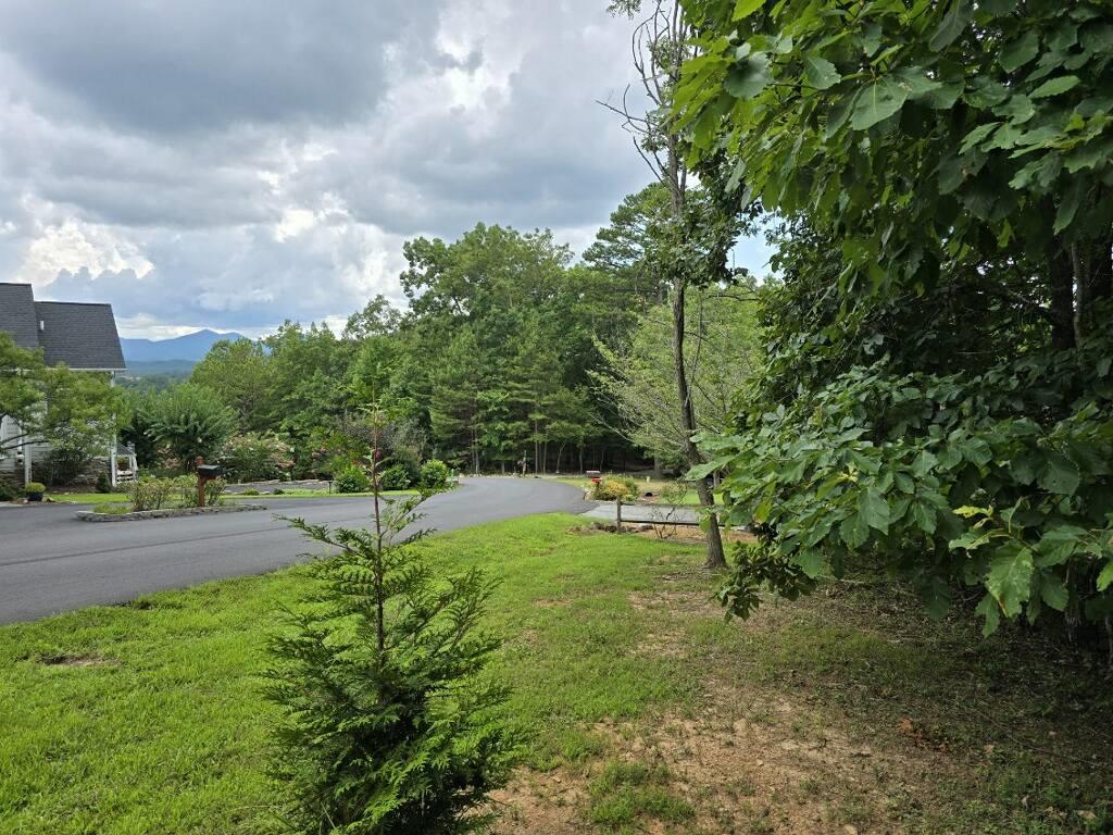 Lot 149 The Mountain #149, BLAIRSVILLE, Georgia image 2