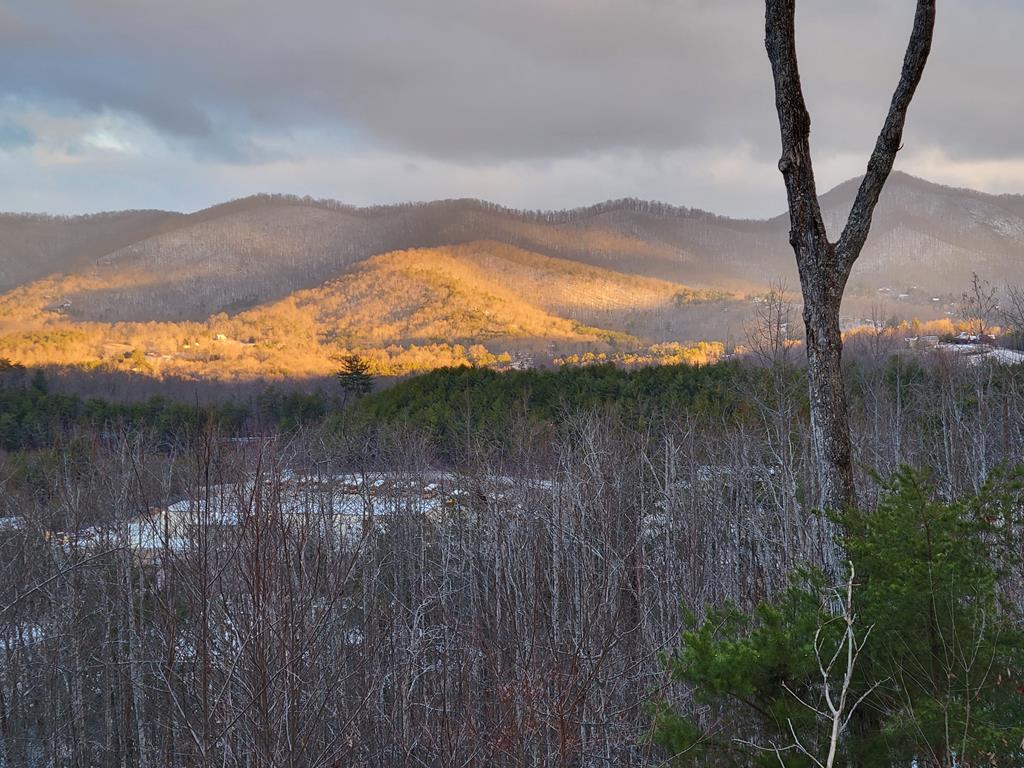 Lot 149 The Mountain #149, BLAIRSVILLE, Georgia image 13