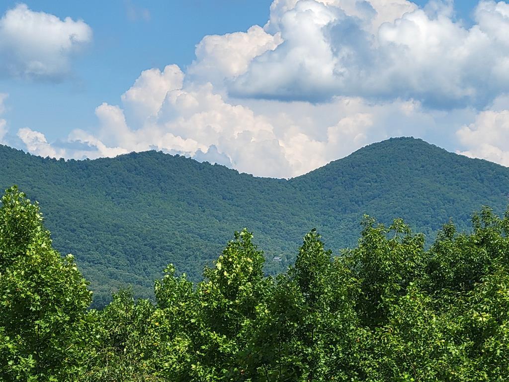 Lot 149 The Mountain #149, BLAIRSVILLE, Georgia image 1