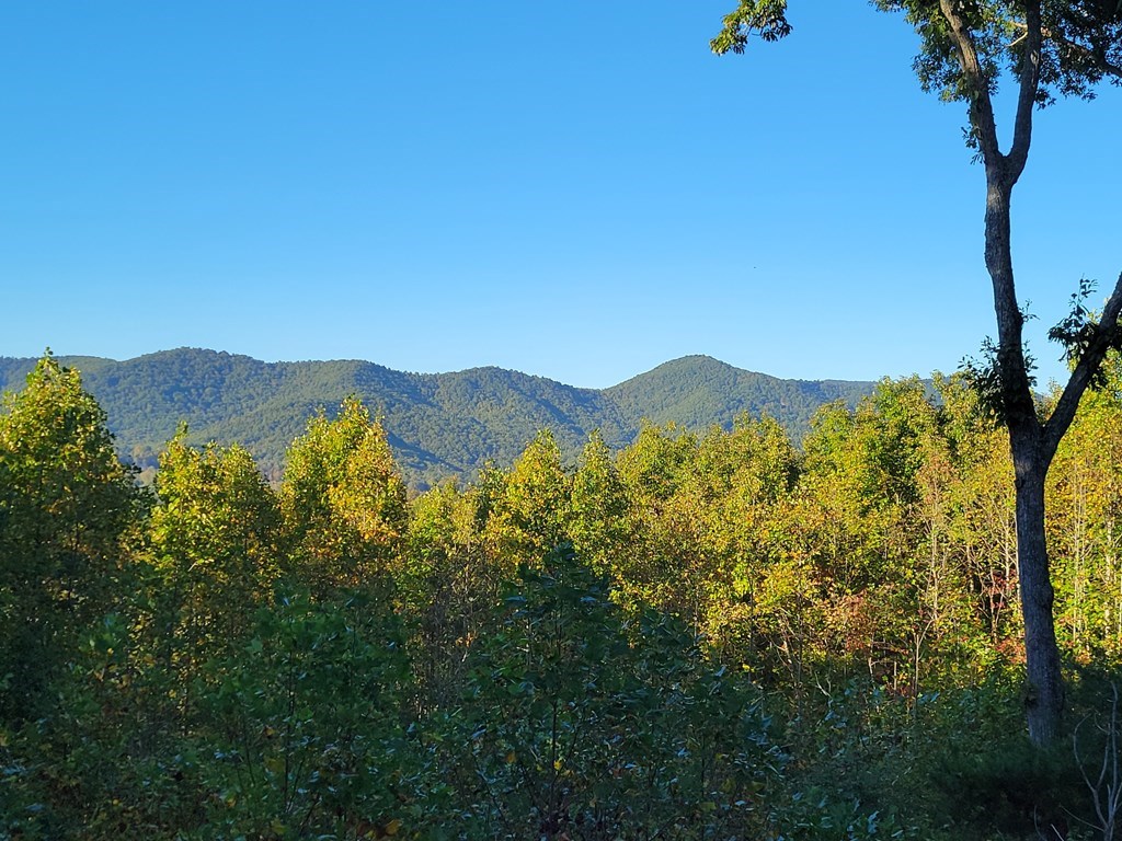 Lot 149 The Mountain #149, BLAIRSVILLE, Georgia image 6