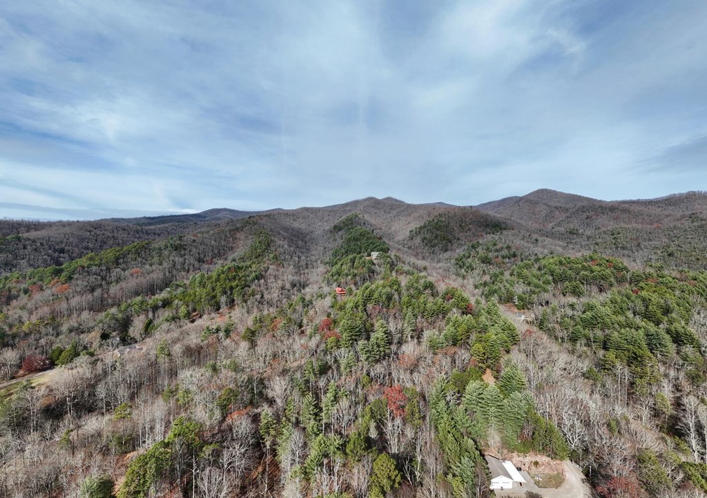 Lot 15 Captain Bill Dr #15, HAYESVILLE, North Carolina image 11