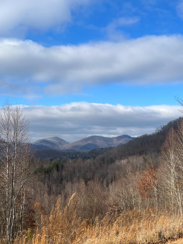 37 Great Sky Trail #37, MURPHY, North Carolina image 1