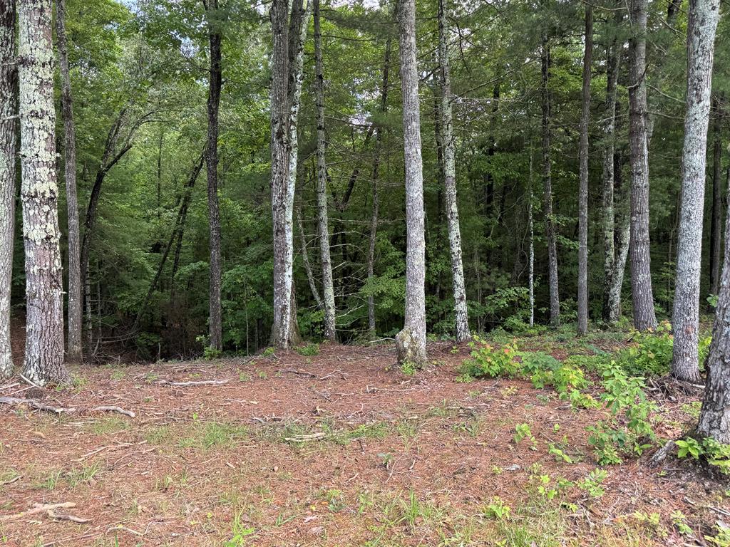 Lot 69 Thundering Hl #69, MURPHY, North Carolina image 5