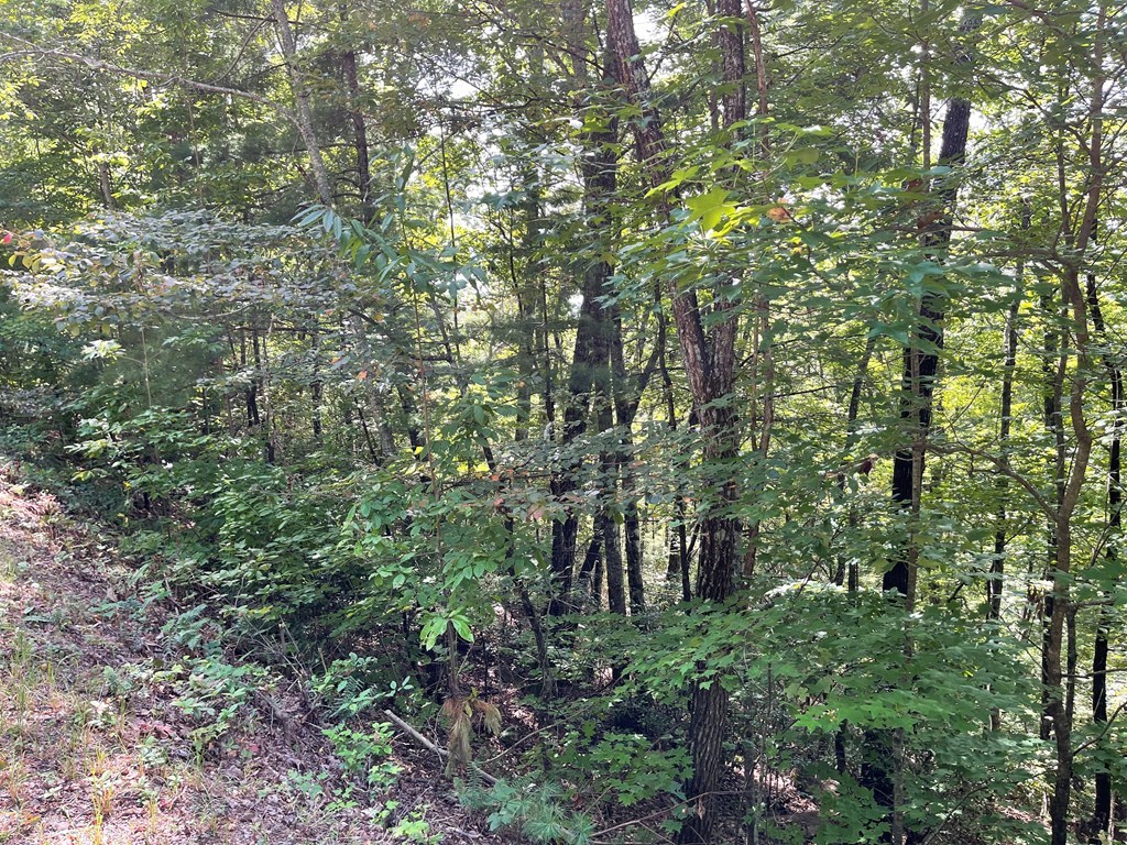 Lot 43 Fires Creek Cove #43, HAYESVILLE, North Carolina image 8