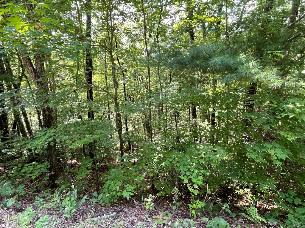 Lot 43 Fires Creek Cove #43, HAYESVILLE, North Carolina image 10