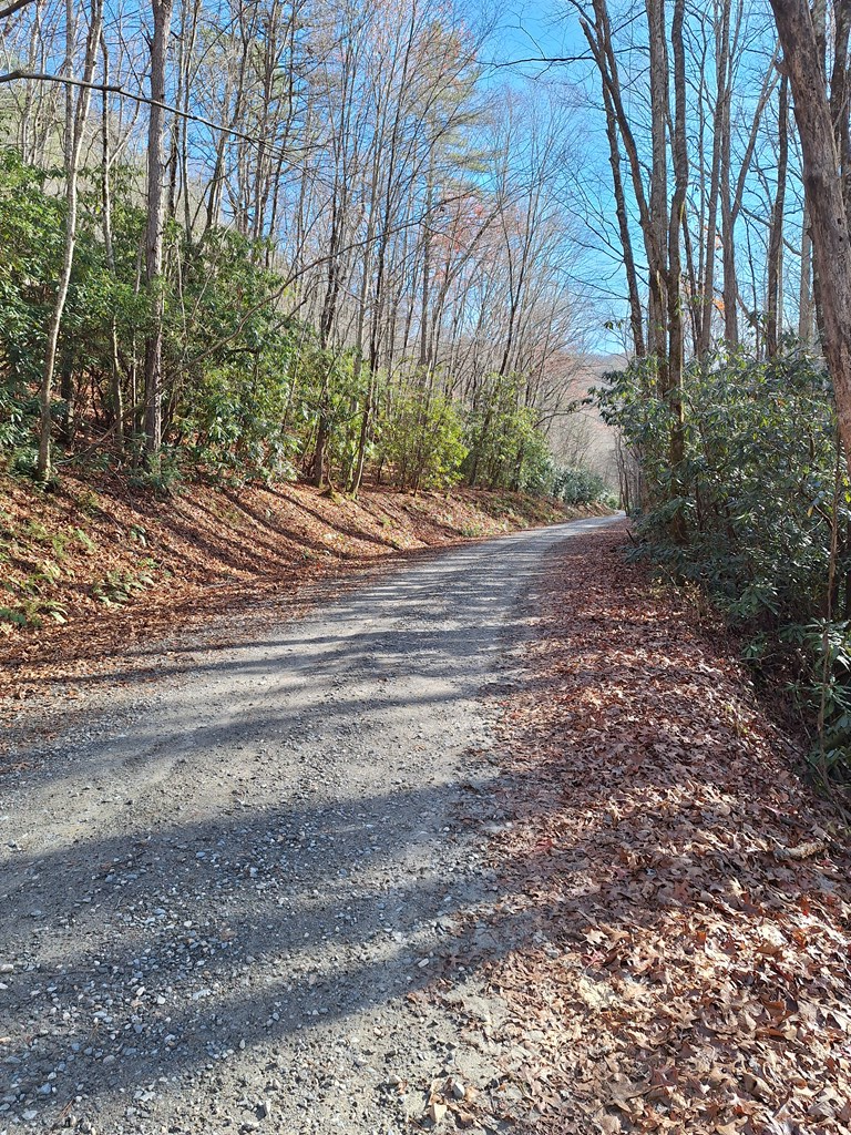 1104 SR Mill Creek, ROBBINSVILLE, North Carolina image 9