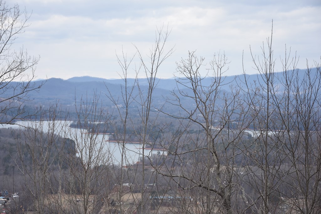 Lot 59 Highland Trace #59, HAYESVILLE, North Carolina image 4