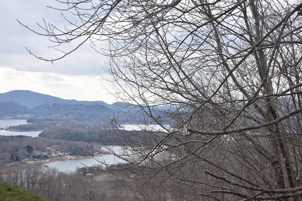 Lot 59 Highland Trace #59, HAYESVILLE, North Carolina image 10