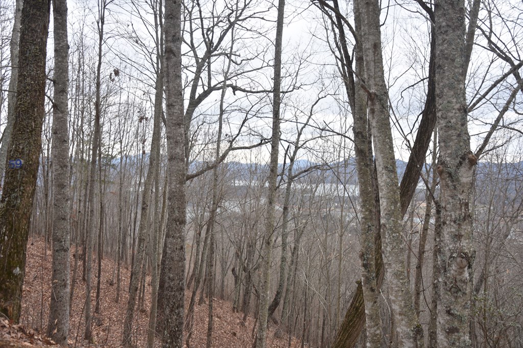 Lot 59 Highland Trace #59, HAYESVILLE, North Carolina image 22
