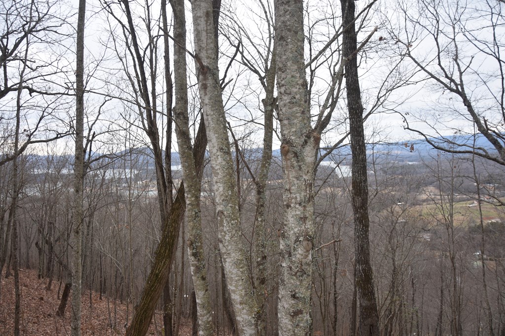 Lot 59 Highland Trace #59, HAYESVILLE, North Carolina image 23