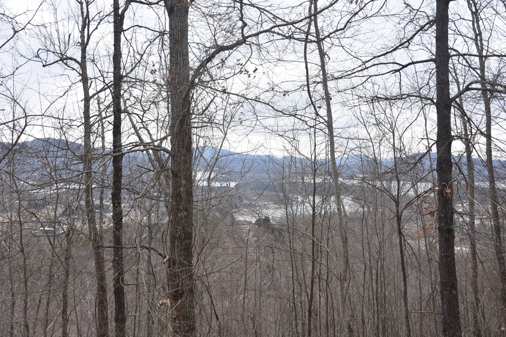 Lot 59 Highland Trace #59, HAYESVILLE, North Carolina image 24